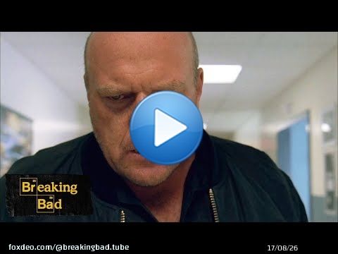 Hank Gets Tricked | Sunset | Breaking Bad