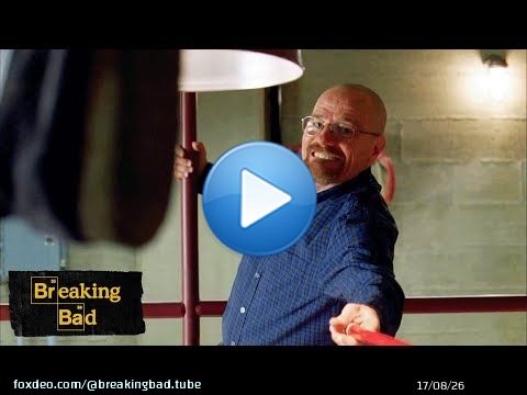Walter vs. Fly | Fly | Breaking Bad