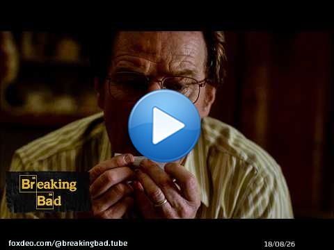 Walt Resorts To Extreme Stress Relief | Cat's in the Bag... | Breaking Bad