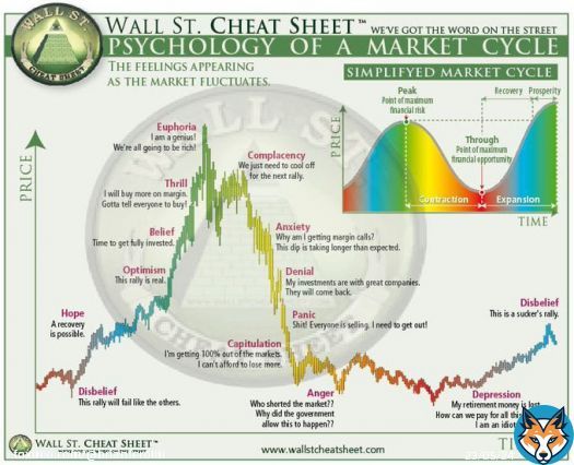 The market cycle of investor emotions: