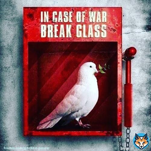 &ldquo;I know not with what weapons WWIII will be fought, but WWIV will be fought with sticks and stones.&rdquo;   - Albert Einstein