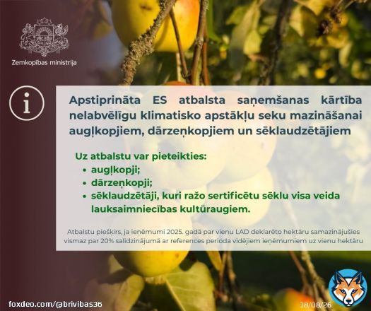 Apstiprināta ES atbalsta saņemšanas kārtība nelabvēlīgu klimatisko apstākļu seku mazināšanai augļkopjiem, dārzeņkopjiem un sēklaudzētājiem, ja ieņēmumi 2025. gadā par 1 ha samazinājušies par 20% pret references perioda ieņēmumiem uz 1 ha. Lasi: