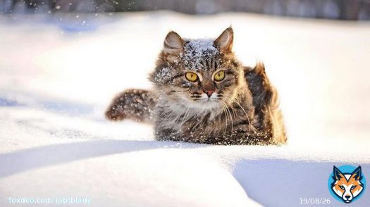 Праздник 4 февраля: почему этот день особенный, у кого день ангела #праздники #история #традиции