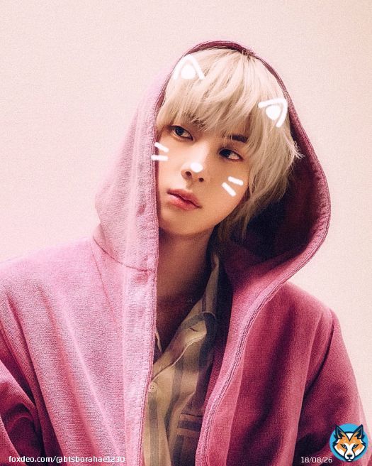 앙큼캣 때문에 정신 못 차리는 중ฅ^•ﻌ•^ฅ