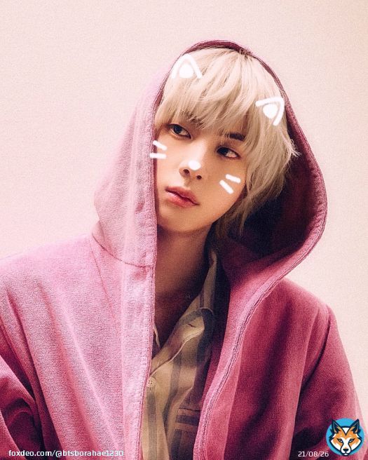 앙큼캣 때문에 정신 못 차리는 중ฅ^•ﻌ•^ฅ