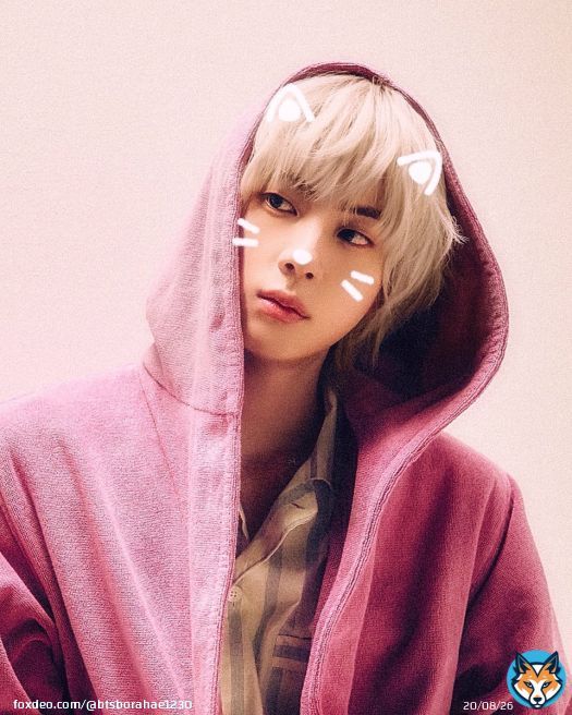 앙큼캣 때문에 정신 못 차리는 중ฅ^•ﻌ•^ฅ