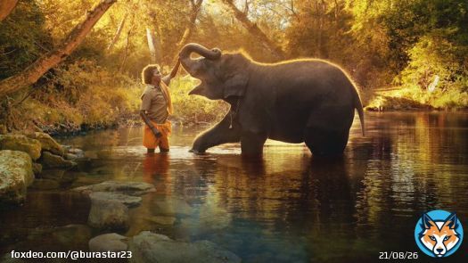 جائزة الأوسكار لأفضل فيلم وثائقي قصير تذهب لفيلم 'The Elephant Whisperers' ، الفيلم متوفر للمشاهدة على نتفليكس .   يكرس بومان وبيلي ، زوجان في جنوب الهند ، حياتهما لرعاية فيل طفل يتيم اسمه راغو ، لتكوين عائلة لا مثيل لها . يختبر الوثائقي الحاجز بين ععالم الإنسان والحيوان .