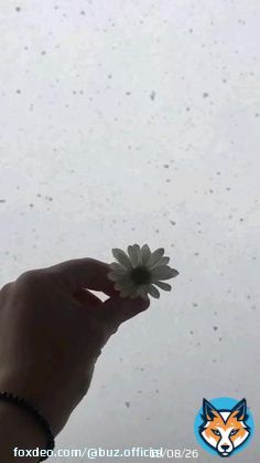 #hayırlıcumalar ALLAH kalbinizden ge&ccedil;en hayırlı dualarımızı kab&uuml;l etsin