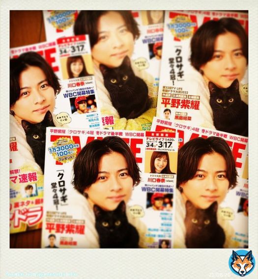 TVLIFE 年間ドラマ大賞2022 4冠おめでとう  作品賞 #クロサギ 主演男優賞 #平野紫耀 助演女優賞 #黒島結菜 主題歌賞 #ツキヨミ #KingandPrince  助演'ニャン'優賞をクロちゃんに  #TVLIFE #年間ドラマ大賞  ふふふ&hellip;かわいい (\u25cd&acute;͈ꈊ`͈\u25cd)