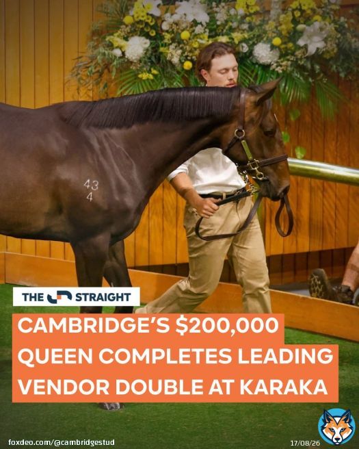 .@CambridgeStud caps a huge Karaka with a clean sweep. A $200k Embellish filly tops Book 2, completing a leading vendor double after Monday’s $1.1m Sword Of State colt. @KarakaChat Books 1 & 2 finish up $5.6m year on year despite fewer horses.Full story on The Straight. Show more