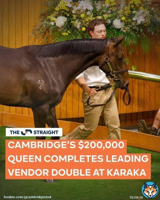 .@CambridgeStud caps a huge Karaka with a clean sweep. A $200k Embellish filly tops Book 2, completing a leading vendor double after Monday’s $1.1m Sword Of State colt. @KarakaChat Books 1 & 2 finish up $5.6m year on year despite fewer horses.Full story on The Straight. Show more