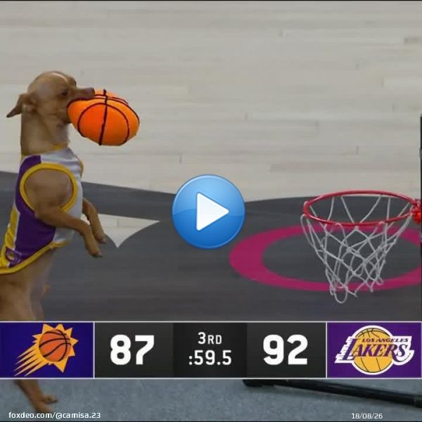 O LAKERS VEM FORTE DEMAIS, T&Aacute;????????
