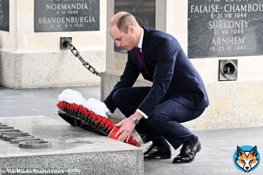 You cannot keep the sun from shiningPrince William is still the most popular Royal,72% ahead of his wife by 2 points. He reigned supreme in every age category. Thats because he has proven his Integrity, character & Consistency. He rightfully commands that admiration