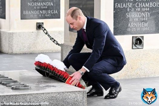 You cannot keep the sun from shiningPrince William is still the most popular Royal,72% ahead of his wife by 2 points. He reigned supreme in every age category. Thats because he has proven his Integrity, character & Consistency. He rightfully commands that admiration