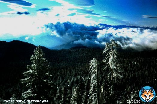 The Heavens Shine - 1977  #storm #clouds #mountains #WinterStorm #forest #California #SoCal #beauty #NaturePhotography #NatureBeauty #photooftheday #photo #travelphotography #adventure #Tuesday