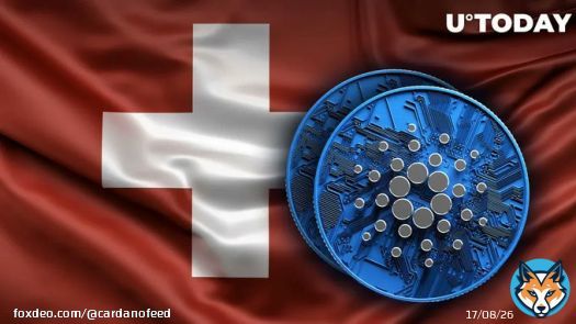 Cardano (ADA) Partners With Major Swiss-Based Fundraising Platform   #Cardano #cardanofeed #ADA #crypto #cardanocommunity #bitcoin #CoinMarketCap #blockchain #cryptocurrency #CardanoADA #btc $ADA