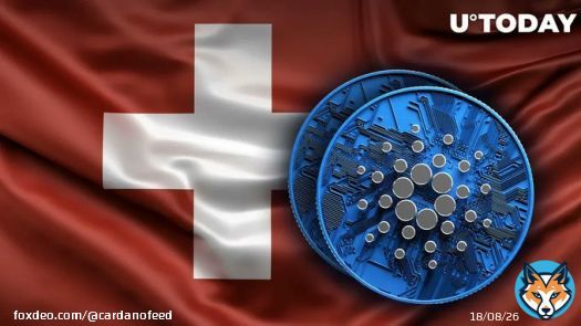 Cardano (ADA) Partners With Major Swiss-Based Fundraising Platform   #Cardano #cardanofeed #ADA #crypto #cardanocommunity #bitcoin #CoinMarketCap #blockchain #cryptocurrency #CardanoADA #btc $ADA
