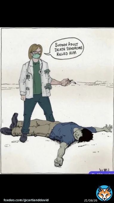 One pic a thousand words