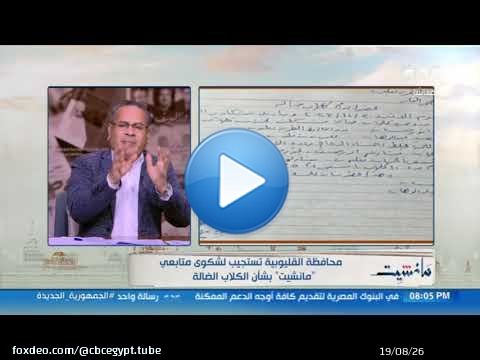 بعد مناشدة 'مانشيت'.. محافظة القليوبية تستجيب لشكوى أحد متابعي البرنامج بشأن الكلاب الضالة