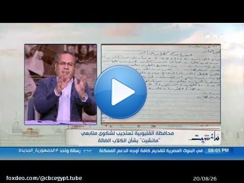 بعد مناشدة 'مانشيت'.. محافظة القليوبية تستجيب لشكوى أحد متابعي البرنامج بشأن الكلاب الضالة