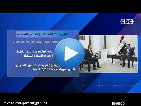 نقل رسالة شفهية من الرئيس السيسي.. وزير الخارجية يلتقي رئيس الوزراء العراقي في بغداد