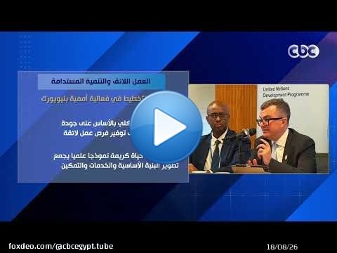 العمل اللائق والتنمية المستدامة.. وزير التخطيط في فعالية أممية بنيويورك