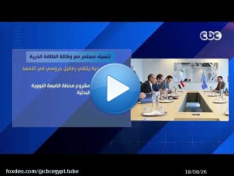 تنسيق مستمر مع وكالة الطاقة الذرية.. وزير الخارجية يلتقي رفائيل جروسي في النمسا