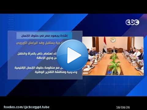 إشادة بجهود مصر في حقوق الإنسان.. وزير الخارجية يستقبل وفد البرلمان الأوروبي