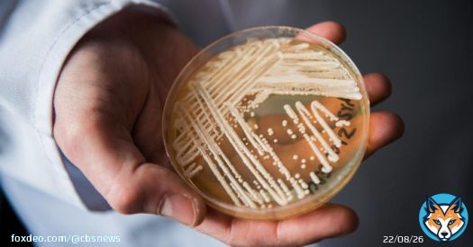 Cases of the drug-resistant fungus Candida auris are now climbing at an 'alarming' rate in health care facilities around the country, the CDC warned on Monday, after reports of infected patients nearly doubled in 2021.