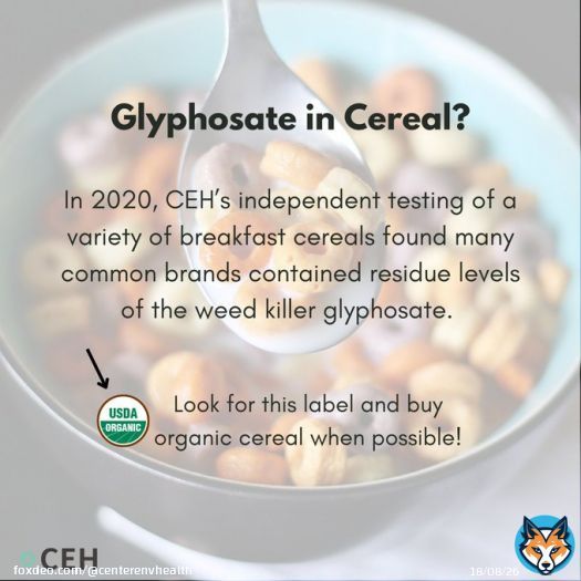 No one wants Monsanto's RoundUp to spoil their #NationalCerealDay!   But our testing found #glyphosate in a variety of cereals in 2020. This toxic chemical can cause cancer, birth defects, & disrupt hormone function.  Buy #organic when possible. Results: