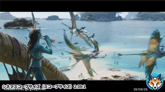 『#アバター：ウェイ・オブ・ウォーター』には、 2種類のアスペクト比のバージョンがあります  4K/HDR/HFRで鑑賞できるイチオシ映画館のドルビーシネマでも、上映館によってバージョン違うみたいです  #アバターウェイオブウォーター
