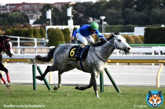 クロッカスステークス　ヤクシマ