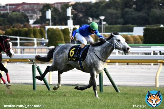 クロッカスステークス　ヤクシマ