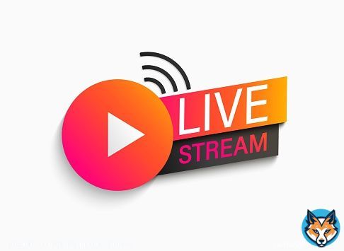 Live Stream Chelsea  vs Dinamo Zagreb LIVE LINK @DiladArslanl  Juventus vs PSG LIVE LINK @erkansuzerer  #JUVPSG #UCL  #CHEDIN