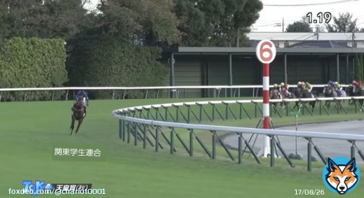 #箱根駅伝  1区現在の状況  関東学生連合がパンサラッサしている。大逃げだが、後ろが牽制してドスローなので後半大きな失速はしないはず。昨年の天皇賞とそっくりの展開だ。