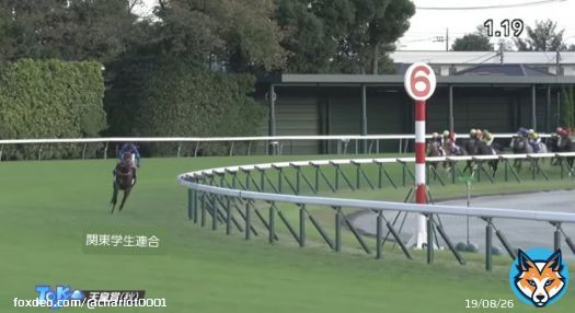 #箱根駅伝  1区現在の状況  関東学生連合がパンサラッサしている。大逃げだが、後ろが牽制してドスローなので後半大きな失速はしないはず。昨年の天皇賞とそっくりの展開だ。