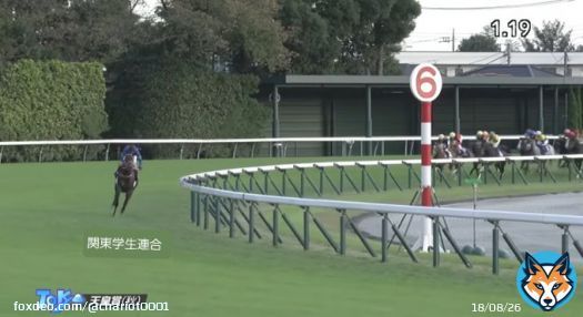 #箱根駅伝  1区現在の状況  関東学生連合がパンサラッサしている。大逃げだが、後ろが牽制してドスローなので後半大きな失速はしないはず。昨年の天皇賞とそっくりの展開だ。