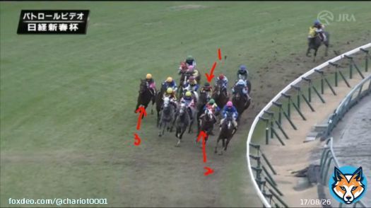 #日経新春杯  \u2460道中のポジション取りが完璧だった川田と福永。大敗したのは馬の能力か、適性か？  \u2461直線は伸びるコースに移動させたイーガン。常に馬場の良いところを選択した松山。距離ロスを避けた坂井。  \u2462一番荒れているところに突っ込む伊藤  \u2463坂井も最後は荒れた所だが、馬場適性の差？
