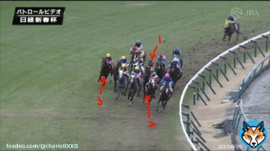 #日経新春杯  \u2460道中のポジション取りが完璧だった川田と福永。大敗したのは馬の能力か、適性か？  \u2461直線は伸びるコースに移動させたイーガン。常に馬場の良いところを選択した松山。距離ロスを避けた坂井。  \u2462一番荒れているところに突っ込む伊藤  \u2463坂井も最後は荒れた所だが、馬場適性の差？