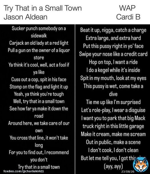 'Try That in a Small Town' by @Jason_Aldean vs 'WAP' by Cardi B  Which do you think the media is mad about?  WARNING: One of these is GRAPHIC and should NOT be read by minors, and the other is lyrics from Jason Aldean's song.