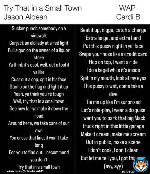 'Try That in a Small Town' by @Jason_Aldean vs 'WAP' by Cardi B  Which do you think the media is mad about?  WARNING: One of these is GRAPHIC and should NOT be read by minors, and the other is lyrics from Jason Aldean's song.