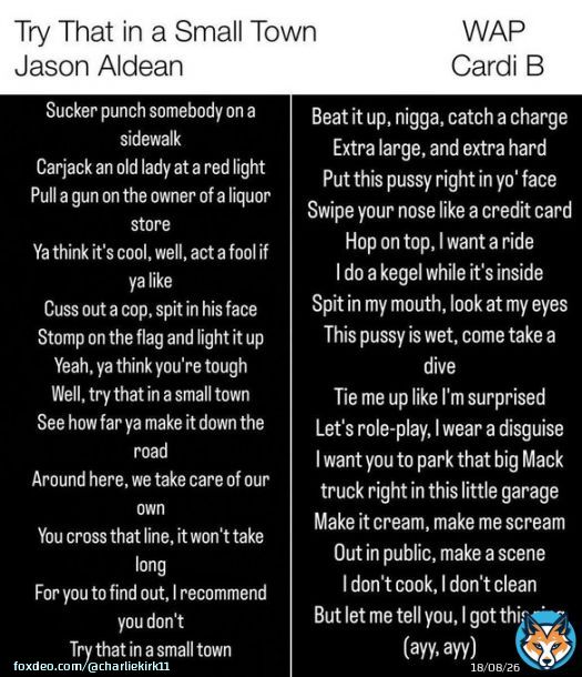 'Try That in a Small Town' by @Jason_Aldean vs 'WAP' by Cardi B  Which do you think the media is mad about?  WARNING: One of these is GRAPHIC and should NOT be read by minors, and the other is lyrics from Jason Aldean's song.