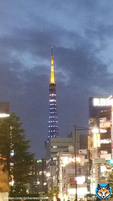 東京タワーも侍ブルー 見ない人は非国民！とは言わないけど、日本の国旗を背負って戦う姿は一応応援してあげたい！そういうもんです、代表戦って。。家に急いで帰ってるにわかファン、永遠の香川党の私。 頑張れ~