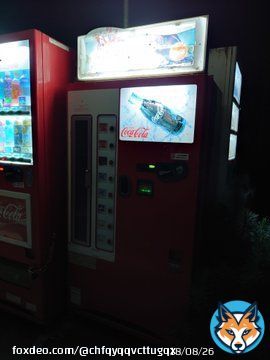 オンエアには間に合いませんでしたが瓶コーラ自販機ありました 神奈川県道志村です #日曜のへそ