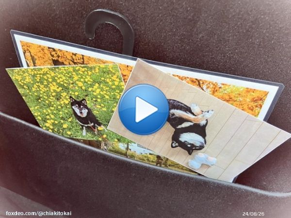 選択肢の無い北海道で、またこの親中知事が再選されるのだろうか... #鈴木直道 #北海道知事選挙