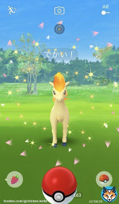 でかい!ポニータ  #PokemonGO #pokemonGO #ポケモンGO #ポケモンGOしてる人と繋がりたい #ポケモンgo好きな人と繋がりたい #ポニータ