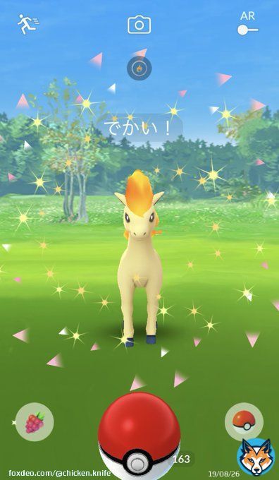 でかい!ポニータ  #PokemonGO #pokemonGO #ポケモンGO #ポケモンGOしてる人と繋がりたい #ポケモンgo好きな人と繋がりたい #ポニータ