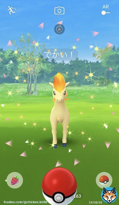 でかい!ポニータ  #PokemonGO #pokemonGO #ポケモンGO #ポケモンGOしてる人と繋がりたい #ポケモンgo好きな人と繋がりたい #ポニータ
