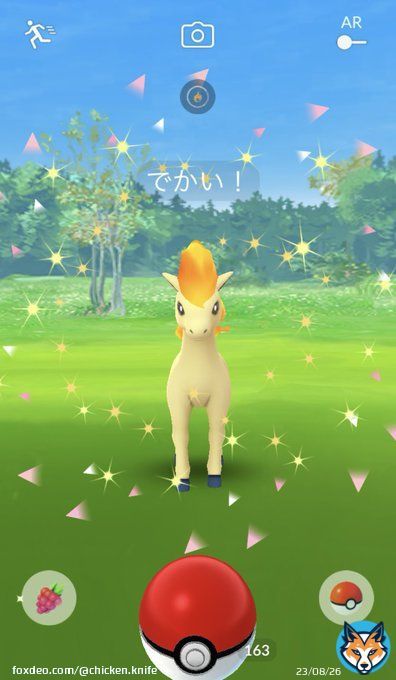 でかい!ポニータ  #PokemonGO #pokemonGO #ポケモンGO #ポケモンGOしてる人と繋がりたい #ポケモンgo好きな人と繋がりたい #ポニータ