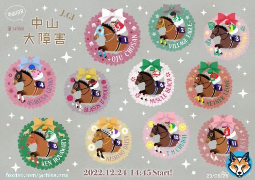 12月24日、中山大障害 全人馬無事に！